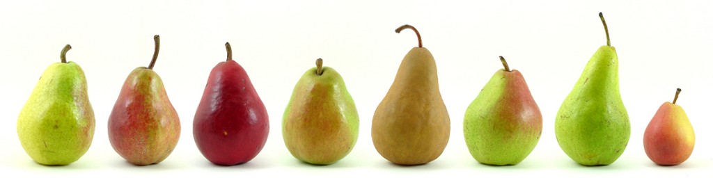 pere_pere