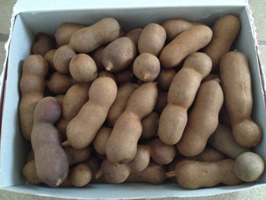 Tamarind